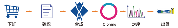 Genscript_genesynthesis_workflow