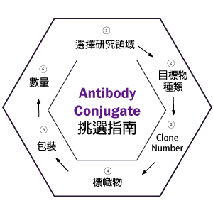 Antibody-conjugate-generator-01