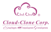 cloud-clone 1