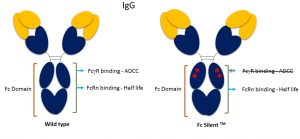 Fc-Silent-ppt4-1-1024x474
