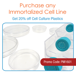 promopage_plastics_may-26-01