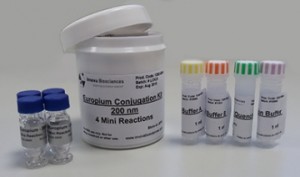 Europium_Conjuga_588f1e1a51864_360x360 (1)