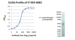 H7N9