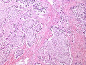 LEAD Technologies Inc. V1.01