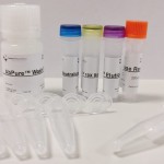AbPure-Mouse-antibody-purification-system-1024x692