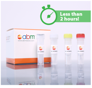 æª¢æ¸¬COVID-19. SARS-CoV-2