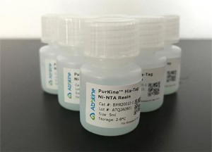 purkine-2