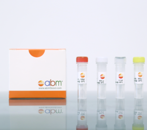 qpcr-lentivirus-titer-titration-kit_lv900_web_1