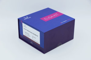 ELK1159-2 (00000003)