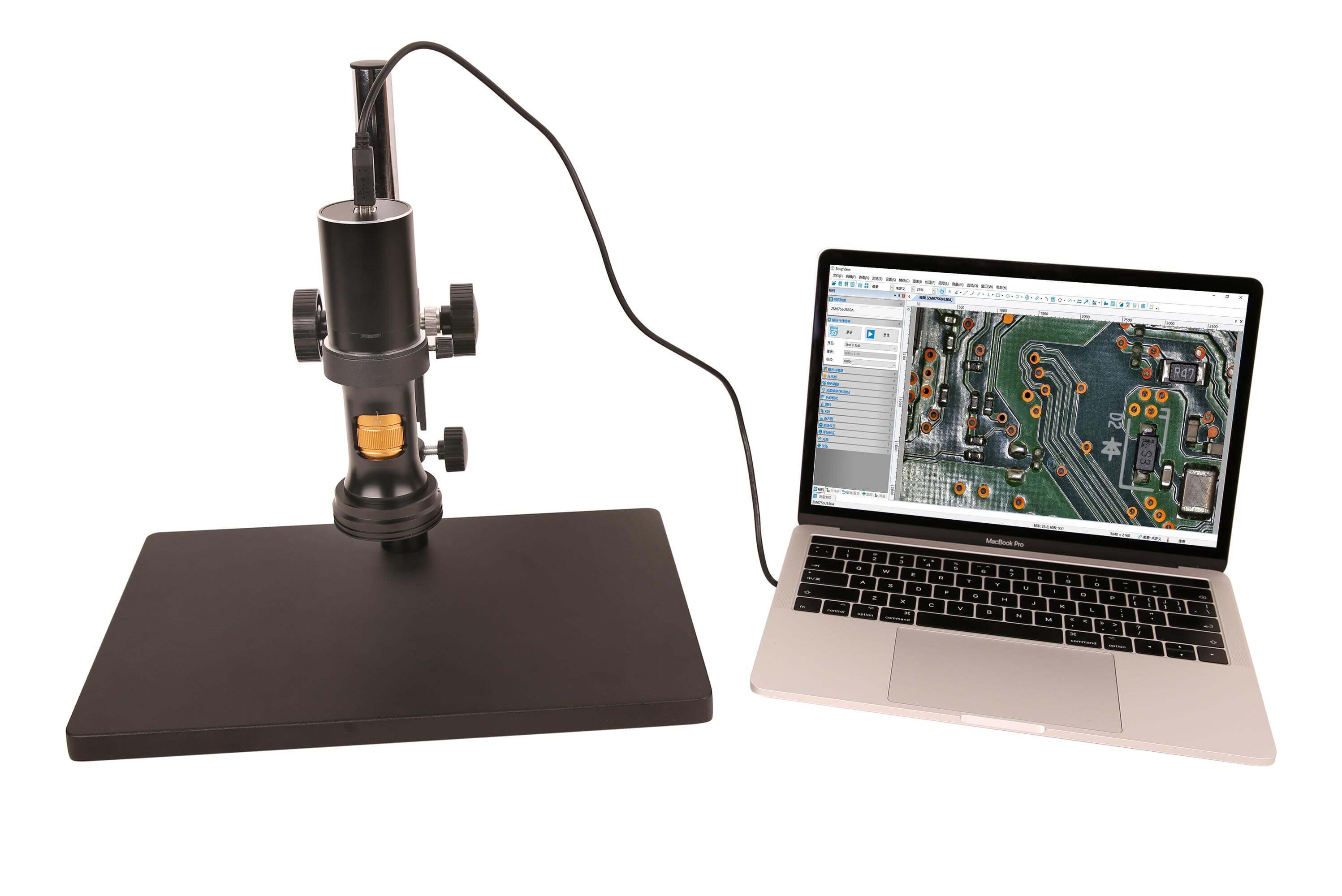 49_Mosquito_Larva_WM_頁面_1_影像_0001