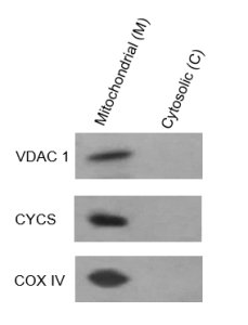 KTP4003 (1)