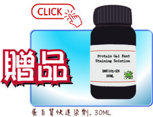 贈品蛋白質快速染劑