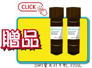 贈品DAPI螢光封片劑
