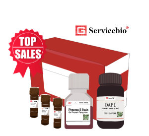 SERVICEBIO 3