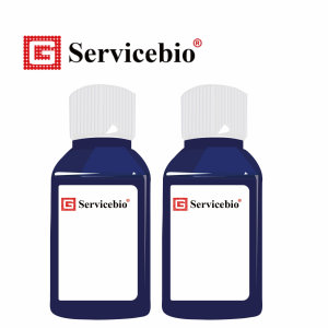 試劑繪圖 (全集) 化學染劑H&E_工作區域 1