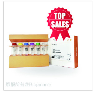 BIO-HELIX QPCR_工作區域 1