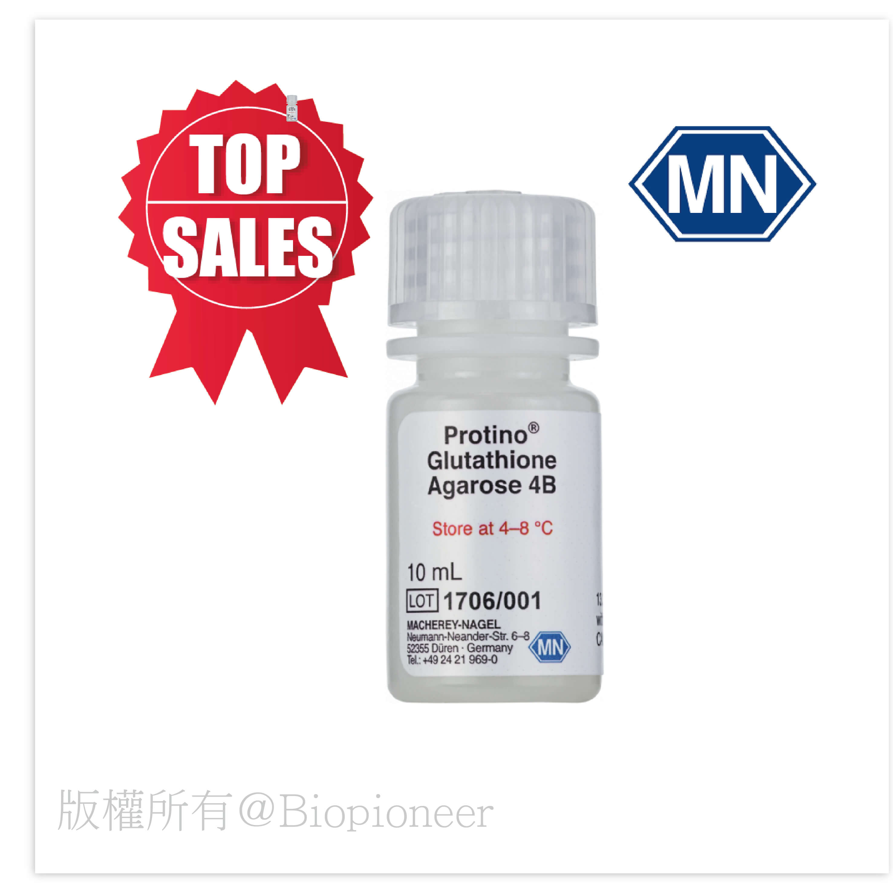 glutathione women GST 標籤蛋白Agarose