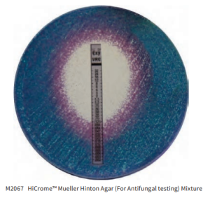 Mueller Hinton Agar 顯色培養基 HIMEDIA貨號M2067