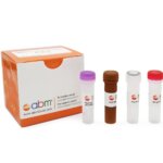http://biopioneer.com.tw/wp-content/uploads/downloads/2023/05/0-BlasTaq™-探針一步法-RT-qPCR-ABMGOOD貨號G596.