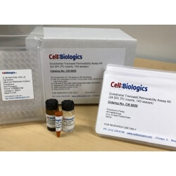 內皮-Transwell-通透性檢測試劑盒Endothelial-Transwell-Permeability-Assay-Kit貨號CB6929