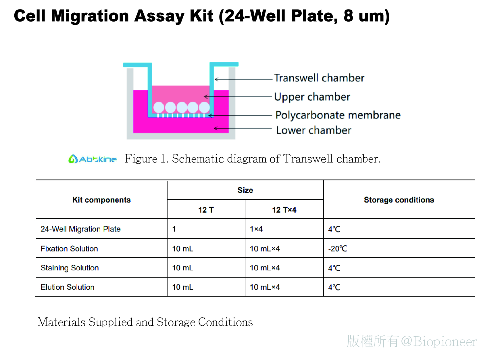 細胞遷移 Cell Migration Assay Kit (24 well,8μM)貨號KTA5010 太鼎生物科技