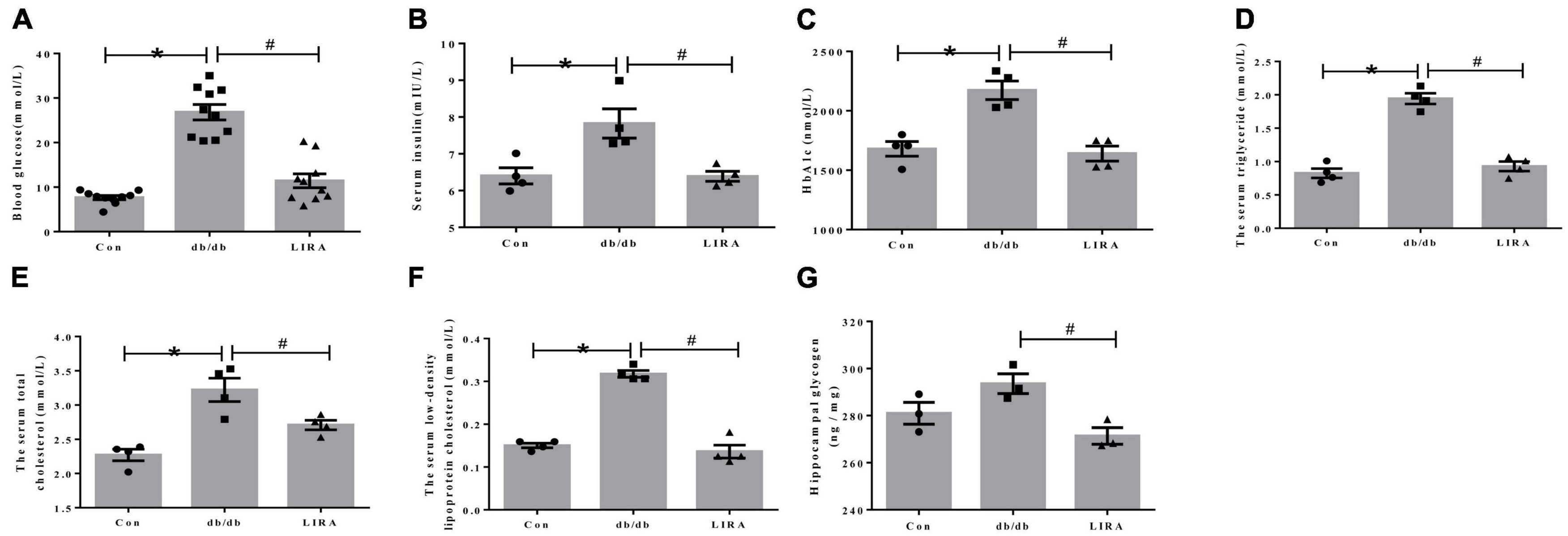 CheKine™ 肝醣/糖原測定試劑盒 CheKine™ Glycogen Assay Kit（Colorimetric）貨號